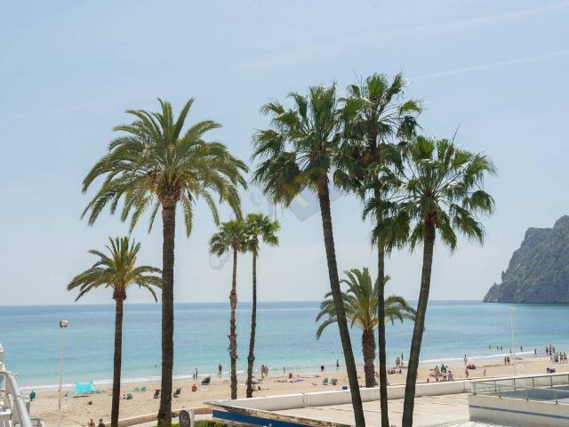 Apartamento en Venta en Zona Levante Playa Fossa