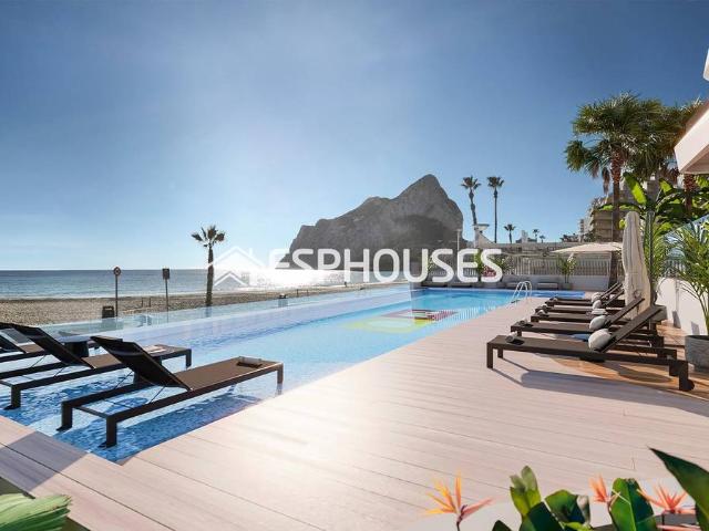 Apartamento en Venta en Zona Levante Playa Fossa