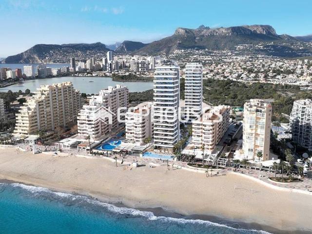 Apartamento en Venta en Zona Levante Playa Fossa
