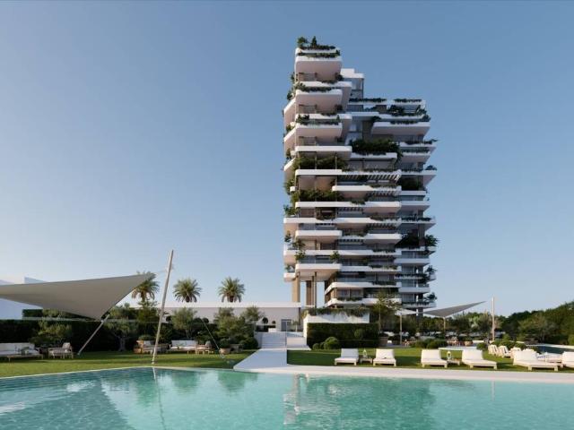 Apartamento en Venta en Zona Levante Playa Fossa
