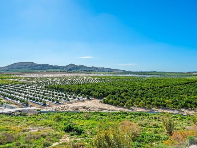 Apartamento en venta en Algorfa. Apartamentos.