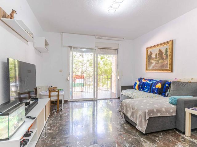 Apartamento en Venta en Angustias Chana Encina
