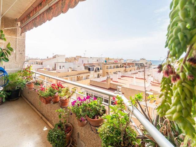 Apartamento en Venta en Avenida Habaneras Curva de Palangre