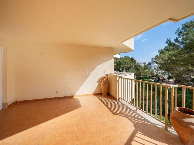 Apartamento en venta en Baleares Calvià, Cala Vinyes. Apartamento en 1a línea de Cala Vinyes con piscina y ascensor. Apartamentos.