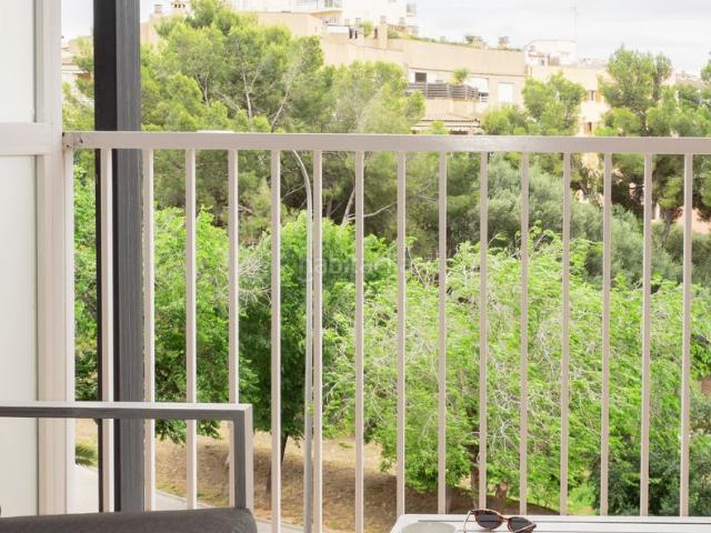 Apartamento en venta en Baleares Palma de Mallorca, Son Dameto. Apartamento familiar en zona altamente demandada. Apartamentos Palma de.