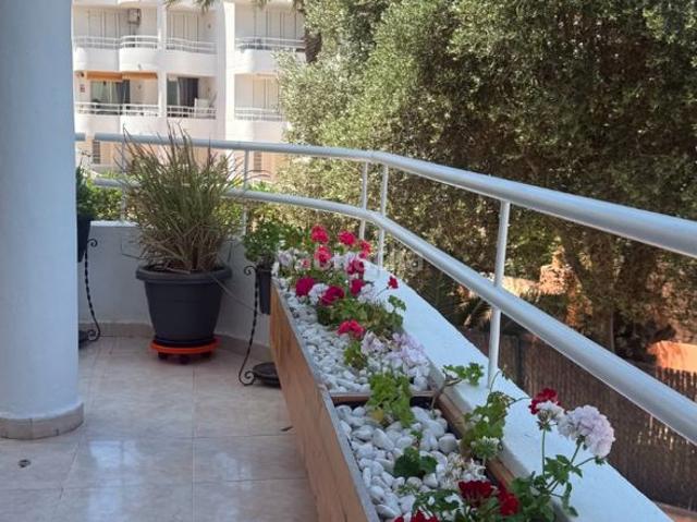 Apartamento en venta en Baleares Sant Antoni de Portmany. Apartamento en primera línea de mar en Ibiza. Apartamentos Sant Antoni de.