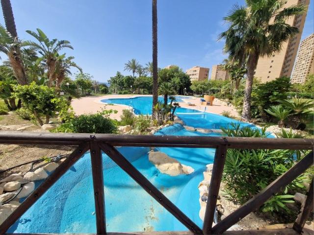 Apartamento en venta en Benidorm, Levante Alto. Apartamentos.