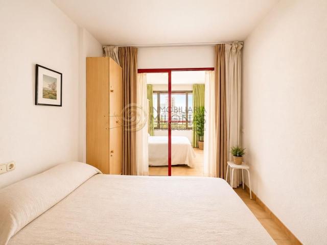 Apartamento en venta en Benidorm, Rincón Alto. Apartamento de 11 dormitorios en la mejor zona llana del Rincón de Loix Benidorm. Apartamentos.