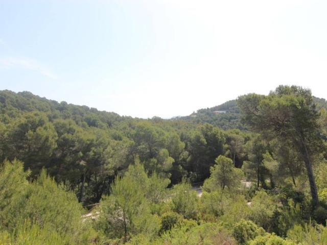 Apartamento en Venta en Cap Martí El Tossalet Pinomar