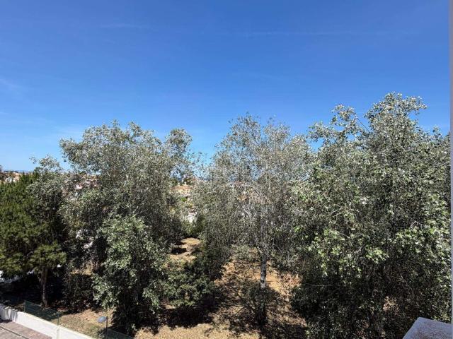 Apartamento en venta en Dénia, Les Bassetes El Marjal. Apartamentos.