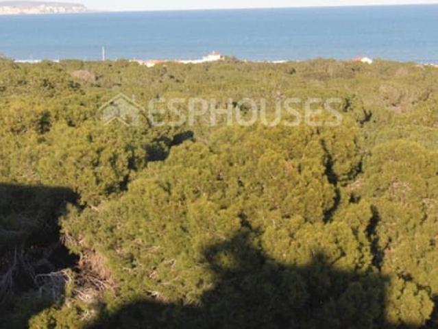 Ático en venta en Guardamar del Segura, Alicante Costa Blanca
