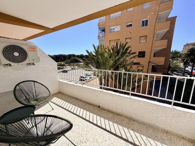 Apartamento en venta en Guardamar del Segura, El Moncayo El Pòrtic. ¡IMPRESIONANTE APARTAMENTO REFORMADO EN GUARDAMAR DEL SEGURA!. Apartamentos Guardamar del.