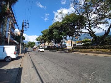 Apartamento En Venta En Ibague En El Carmen V201136