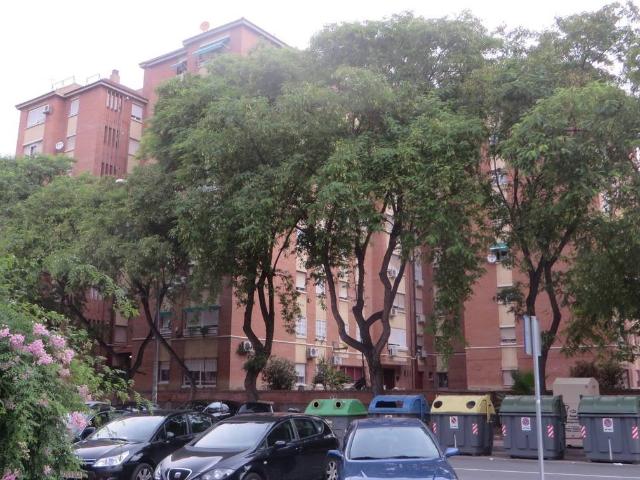 Apartamento en Venta en Infante Juan Manuel