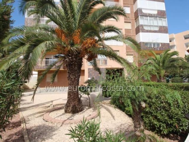 Apartamento en venta en La Mata