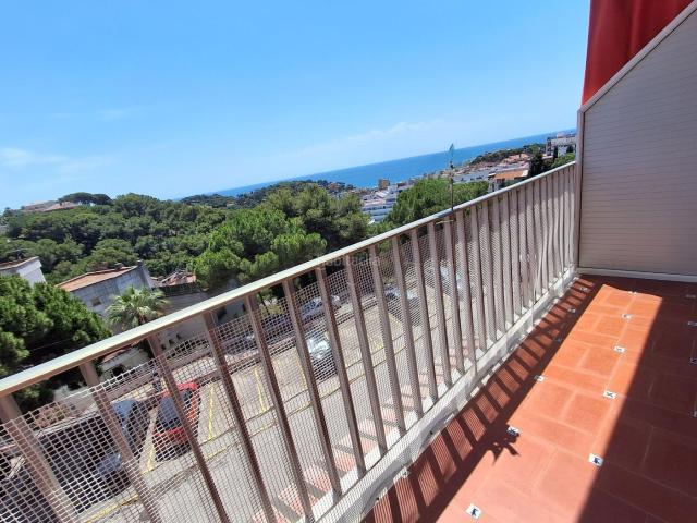 Apartamento en venta en Lloret de Mar, Mas Baell Can Carbó Costa Brava. Apartamento de una habitación en venta en la zona del Selvamar. Apartamentos Lloret de.