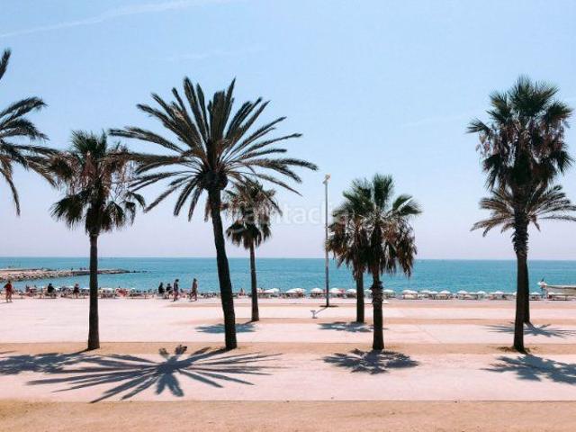 Apartamento en venta en Lloret de Mar, Centre Costa Brava. muy cerca del mar y de centro de la ciudad !. Apartamentos Lloret de.