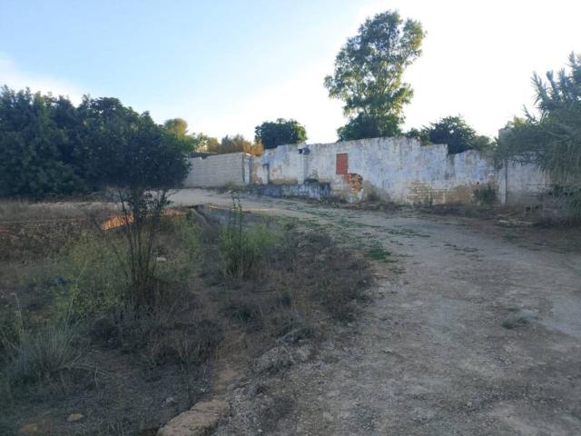 Apartamento en Venta en Palma De Gandia Valencia