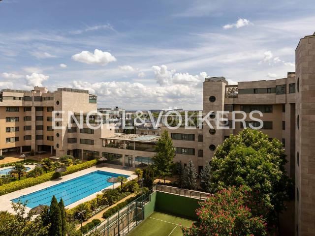 Apartamento en Venta en Palomas