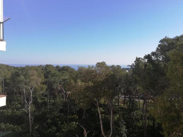Apartamento en venta en Pals Costa Brava. Apartamentos.