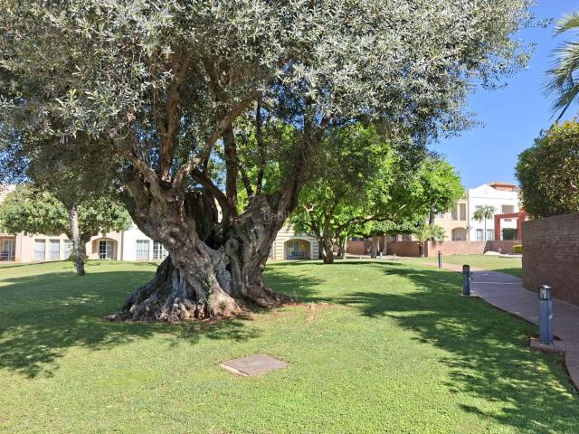 Apartamento en venta en Pedreguer. Oportunidad única en La Sella Golf: Vivienda en planta baja con doble apartamento y jardín privado. Apartamentos.