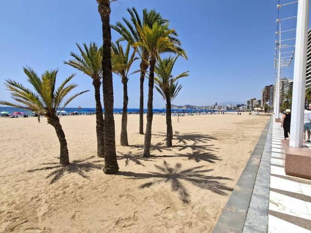 Apartamento en Venta en Playa Levante