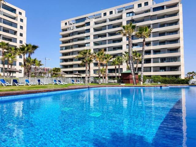 Apartamento en Venta en Punta Prima