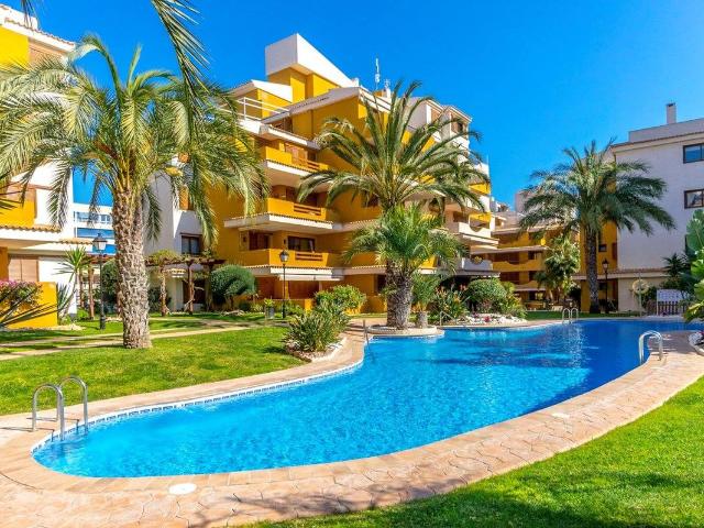 Apartamento en Venta en Punta Prima