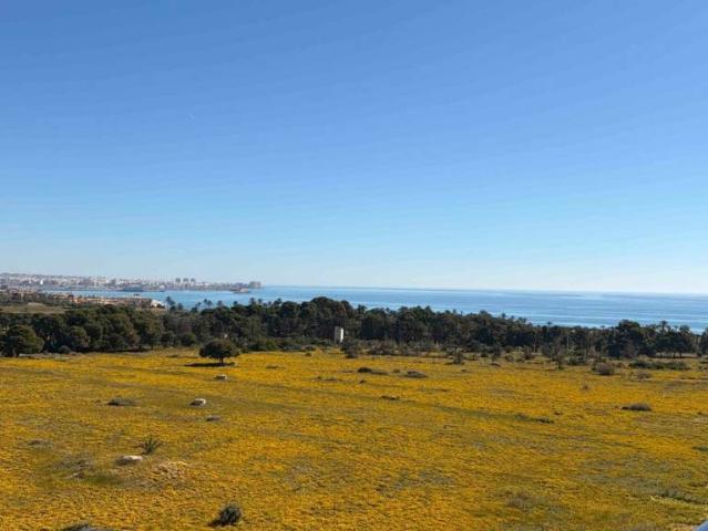 Apartamento en Venta en Punta Prima