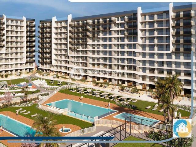 Apartamento en Venta en Punta Prima