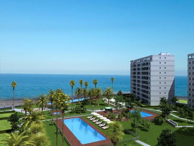 Apartamento en Venta en Punta Prima