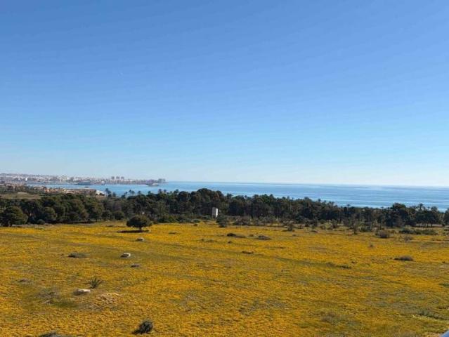 Apartamento en Venta en Punta Prima