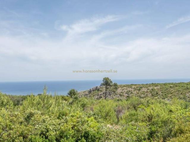 Apartamento en Venta en Puerto