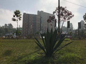 Apartamento En Venta En Rionegro V152324