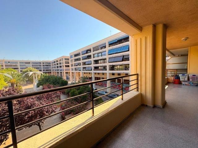 Apartamento en venta Guardamar del Segura