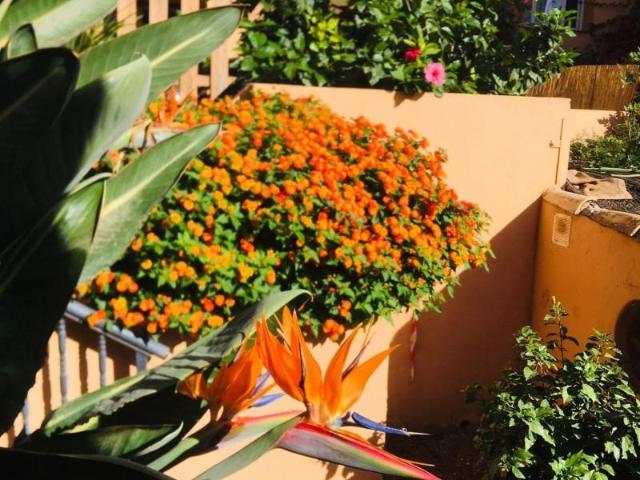 Apartamento en venta Mijas