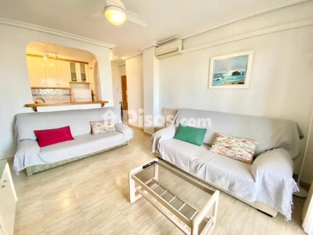 Apartamento en alquiler en Torrelamata La Mata