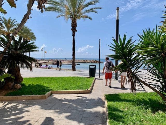 Apartamento en alquiler en Torrevieja, Alicante Costa Blanca