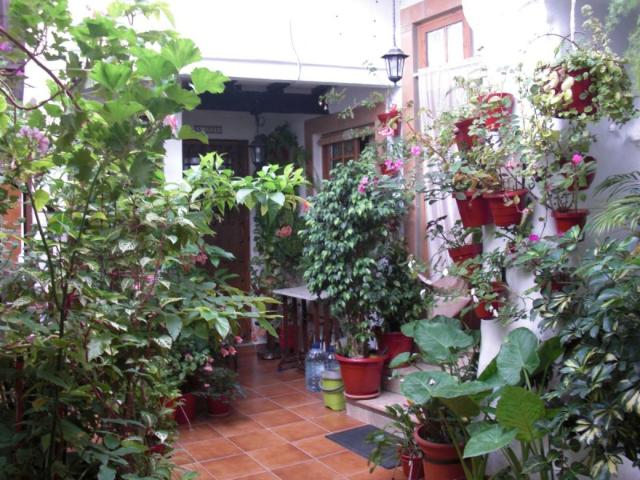 Apartamento en alquiler en Vejer de la Frontera, Casco antiguo