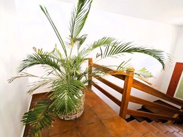 Apartamento en Alquiler en Agüimes, Las Palmas