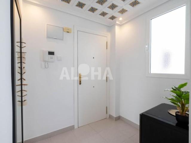 Apartamento en alquiler en Alfara del Patriarca, Alfara del Pariarca