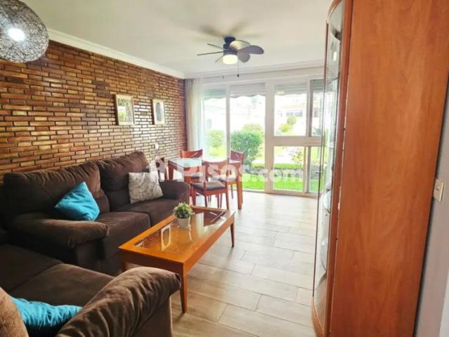 Apartamento en alquiler en Avenida Manuel Mena Palma, 14