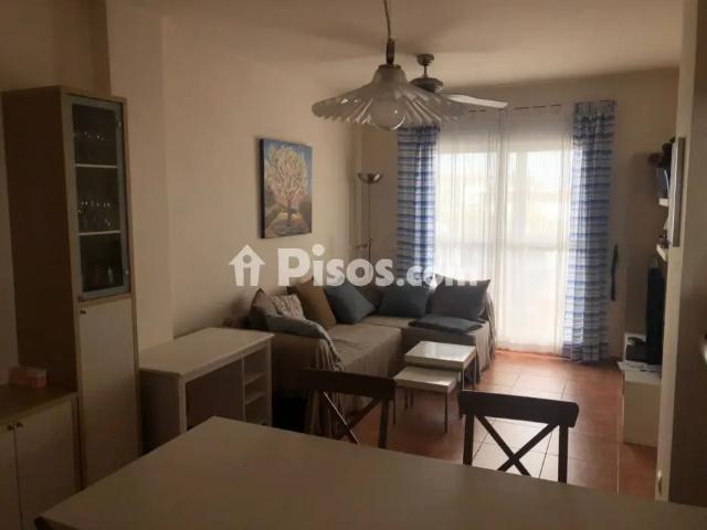 Apartamento en alquiler en Avenida de la Ballena, 6
