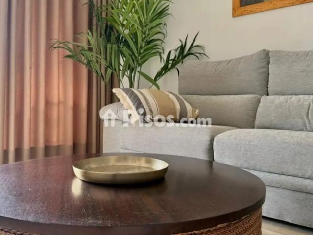 Apartamento en alquiler en Avenida de la Rosa de los Vents