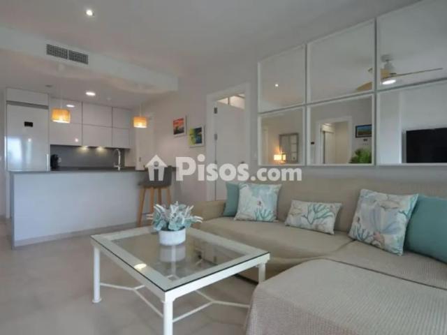 Apartamento en alquiler en Avenida de los Cisnes, 39
