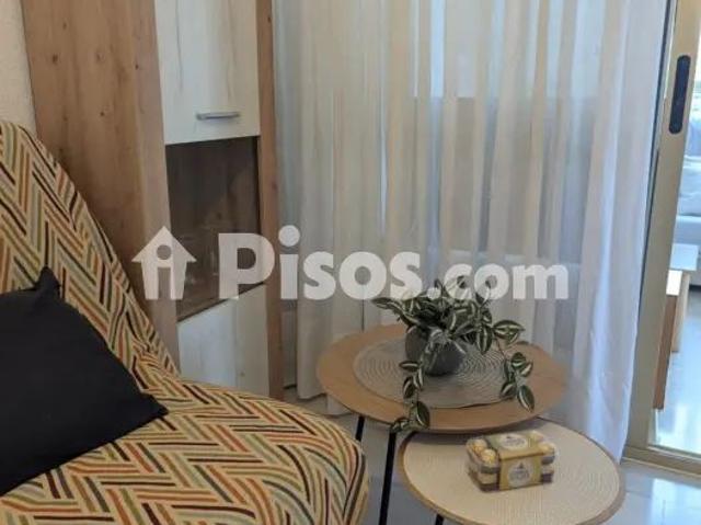Apartamento en alquiler en Avenida del Doctor Orts Llorca, 15