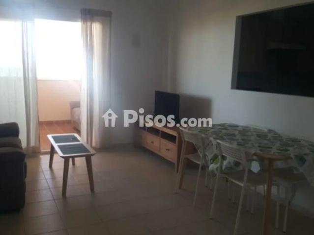 Apartamento en alquiler en Avenida del Higuerón, 58