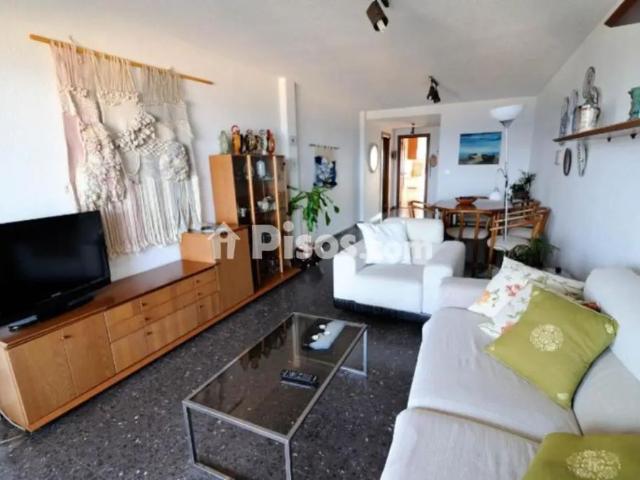 Apartamento en alquiler en Avenida del Padre Esplá, 1, cerca de Paseo de Gómiz