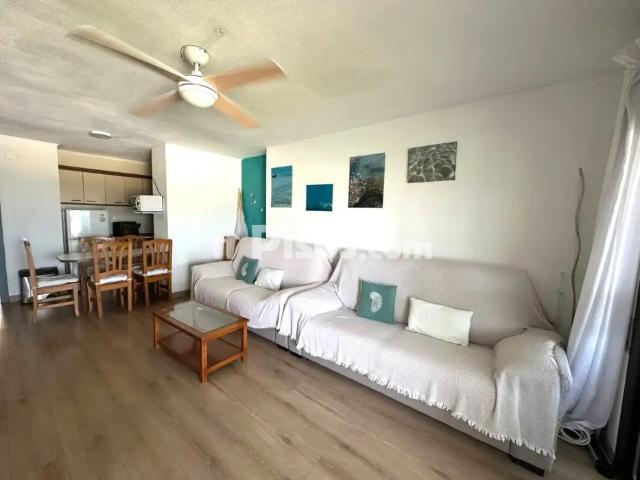 Apartamento en alquiler en Avenida del Papa Luna, 135, cerca de Avenida del Papa Lluna