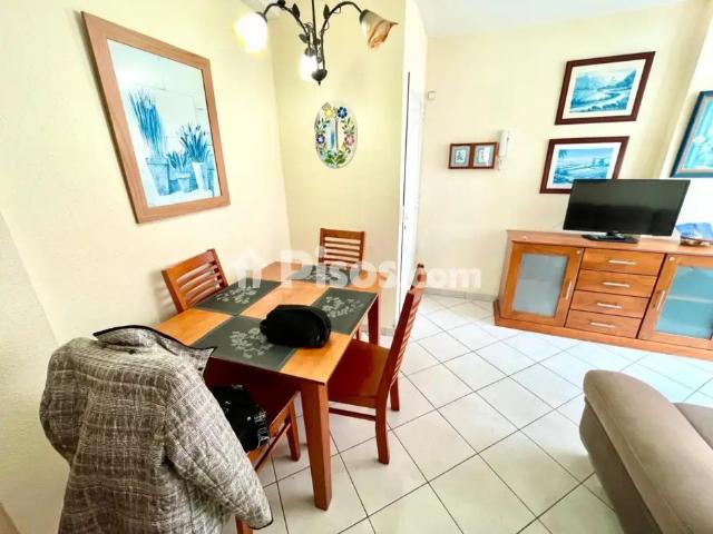 Apartamento en alquiler en Avenida Familia Betancourt y Molina, 31